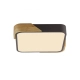 SUFITOWA 14289-18 BILA LAMPA SUFITOWA CZARNY/DREWNO Paul Neuhaus by Zuma Line