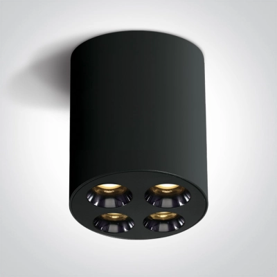 The Dark Light Ceiling Lights 12110H/B/W ONE LIGHT