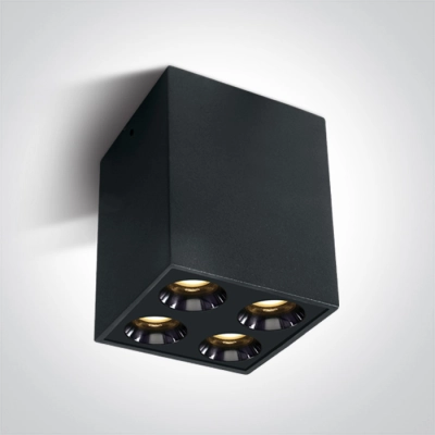 The Dark Light Ceiling Lights 12110HB/B/W ONE LIGHT