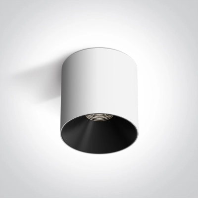 WHITE 10W WW IP20 230V 12110R/W/W ONE LIGHT