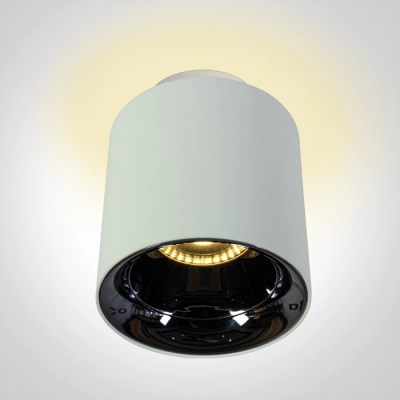 WHITE 18W+2W WW IP20 60deg 230V DARK LIGHT 12120A/W/W ONE LIGHT