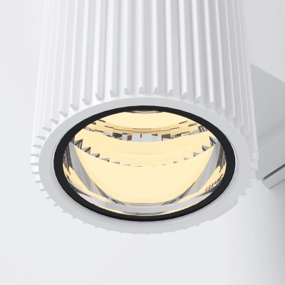 Kinkiet Wall Lamp Rando O419WL-02W Maytoni