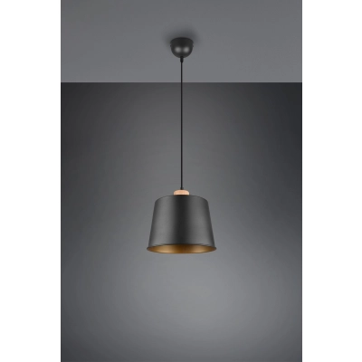 lafabryka.pl Lampa wisząca HARRIS 312700132 TRIO