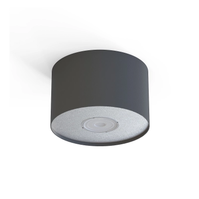 lafabryka.pl Plafon Point graphite silver/graphite white S 6006 ++++ Żarówka LED GRATIS -------- dorwij go ......