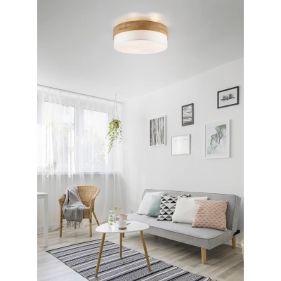 Plafon SEASONS – 611500301 excl. 3x E27 · max. 40W TRIO