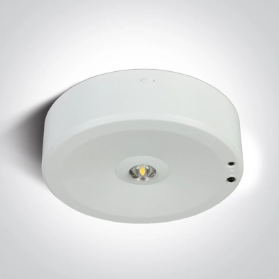 WHITE LED 3W EMERGENCY 3hrs 230v SELF TEST 89412/W ONE LIGHT