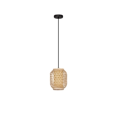 Lampa wisząca POMALCA LE44860