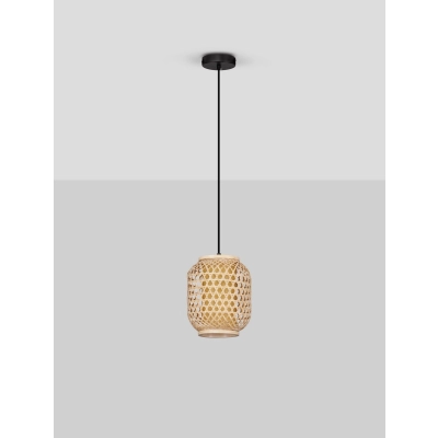 Lampa wisząca POMALCA LE44860