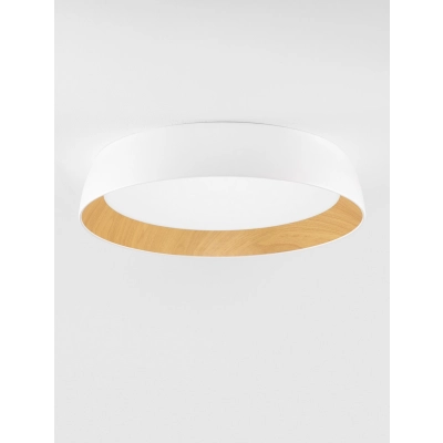 Plafon CARACOLLO LE44812