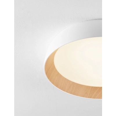 Plafon CARACOLLO LE44812