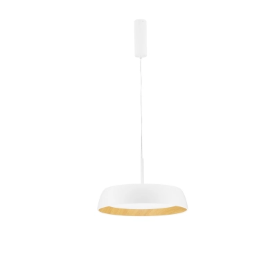 Lampa wisząca CARACOLLO LE44813