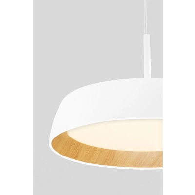 Lampa wisząca CARACOLLO LE44813