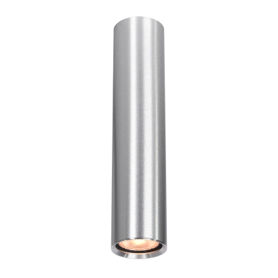 Plafon Lopus CLN-48930-L-ALU Italux
