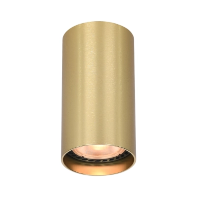 Plafon Lopus CLN-48930-S-GD Italux