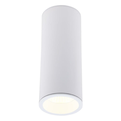 Long C0153 lampa sufitowa/plafon okrągły biały MaxLight