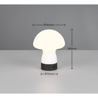DOOLEY – R54981131 incl. 1x SMD, 1,5W · 1x 140lm, 3000K TRIO