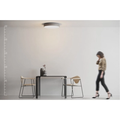 lafabryka.pl Sovana Top 55 CCT SMART (grey) AZ3550 AZZARDO