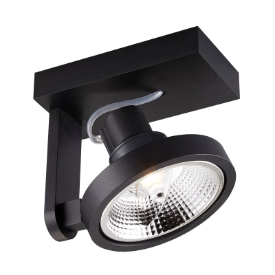 lafabryka.pl Spot MASTER 111 SL ACGU10-181 Zuma Line