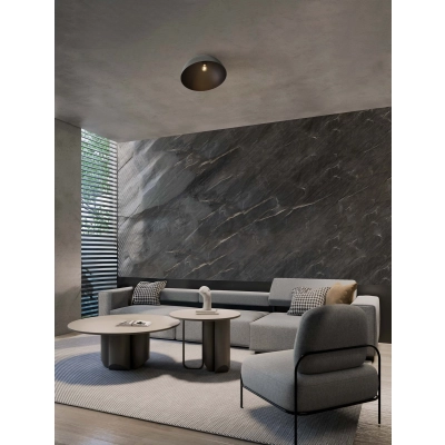 Plafon IRONCOLLO LE44902