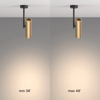 Plafon Elti C020CL-01GB Maytoni