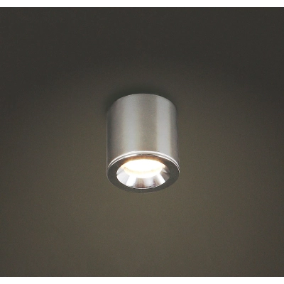 lafabryka  FORM IP65 Lampa sufitowa C0107 MaxLight