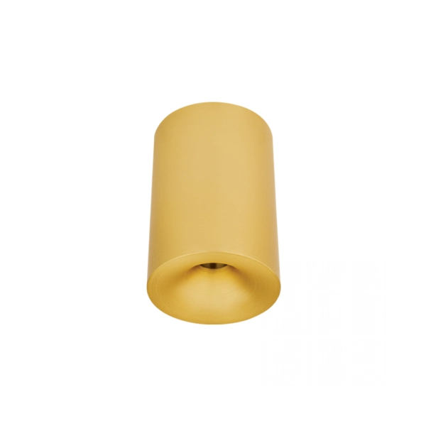 25298 CEILING LED SPOT 10W 3000K IP54 BRASS MATT Zambelis Lights