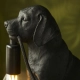 Lampa stołowa Labrador Puppy 107365 ENDON