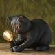Lampa stołowa Kitten 107390 ENDON