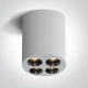 The Dark Light Ceiling Lights 12110H/W/W ONE LIGHT
