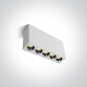 The Dark Light Ceiling Lights 12112H/W/W ONE LIGHT