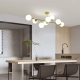 Dorado 8 wisząca LP-002/8P Light Prestige