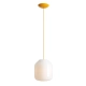 FLASK mimosa L 8500G21_L 1 x E27 max 15W Aldex