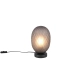 FACETTE – 564200154 excl. 1x E27 · max. 25W TRIO