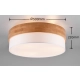 Plafon SEASONS – 611500301 excl. 3x E27 · max. 40W TRIO