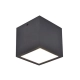 Plafon GEMINI 6389101118 LUTEC
