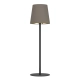 FIORANA Lampa stołowa 901129 EGLO