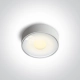 Indoor/Outdoor Light Points 67484/W/W ONE LIGHT