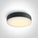 The IP65 CCT Adjustable Plafon 67498/AN ONE LIGHT