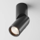 Plafon Dafne C027CL-L10B Maytoni