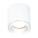 lafabryka.pl FORM C0215 LAMPA SUFITOWA BIAŁA IP65 C0215 MaxLight