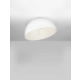 Plafon IRONCOLLO LE44901