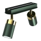 lafabryka.pl Lampa sufitowa JOKER GREEN/GOLD 2xGU10 MLP7718 Milagro