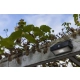 lafabryka.pl Kinkiet ARROW 6910601335 IP44 LUTEC