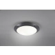 lafabryka.pl Plafon CAMARO – R60502042 excl. 2x E27 · max. 12W IP54 TRIO