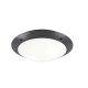 lafabryka.pl Plafon CAMARO – R60502042 excl. 2x E27 · max. 12W IP54 TRIO