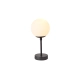 lafabryka.pl Dorado biurkowa mała czarna LP-002/1T S BK LIGHT PRESTIGE