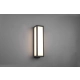lafabryka.pl Kinkiet FUERTE – 226260142 incl. 1x SMD LED, 10,5W · 1x 1300lm, 3000K IP54 TRIO