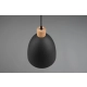 lafabryka.pl Lampa wisząca czarna JAGGER R30681032 TRIO