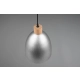 lafabryka.pl Lampa wisząca srebrna JAGGER R30681067 TRIO