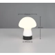 DOOLEY – R54981131 incl. 1x SMD, 1,5W · 1x 140lm, 3000K TRIO